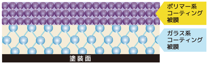 ポリマー系コーティング被膜　ガラス系コーティング被膜